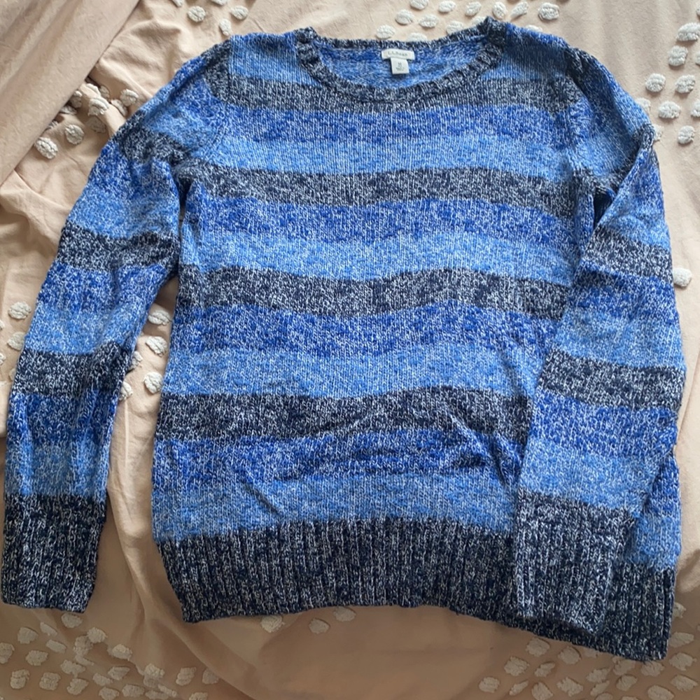 Blue Striped LL Bean Sweater